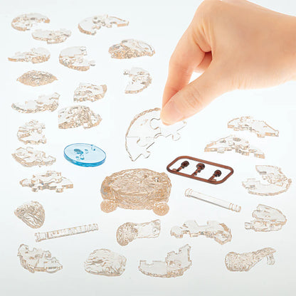 Toy Poodle (Apricot)