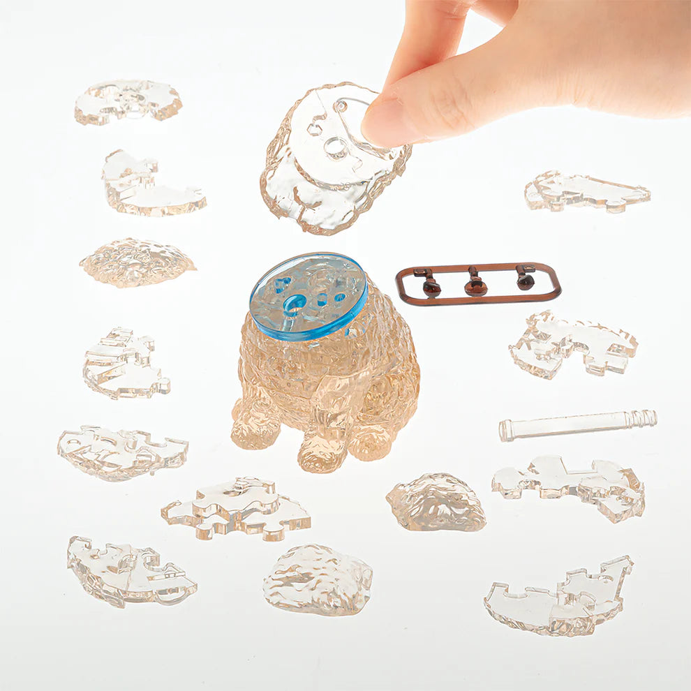 Toy Poodle (Apricot)