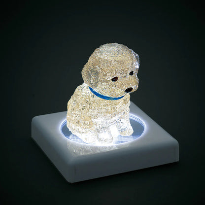 Toy Poodle (Apricot)