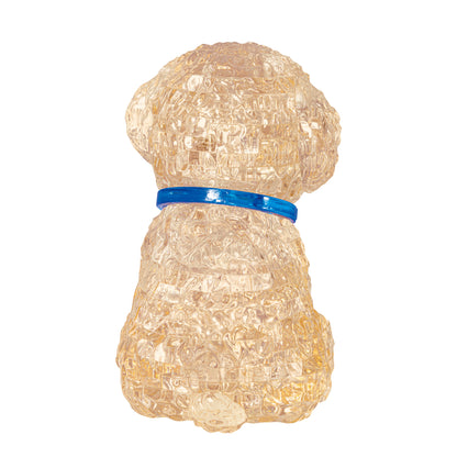 Toy Poodle (Apricot)