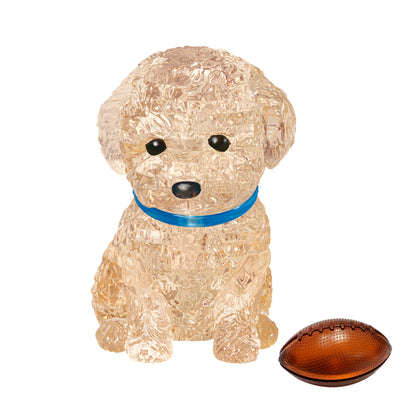 Toy Poodle (Apricot)
