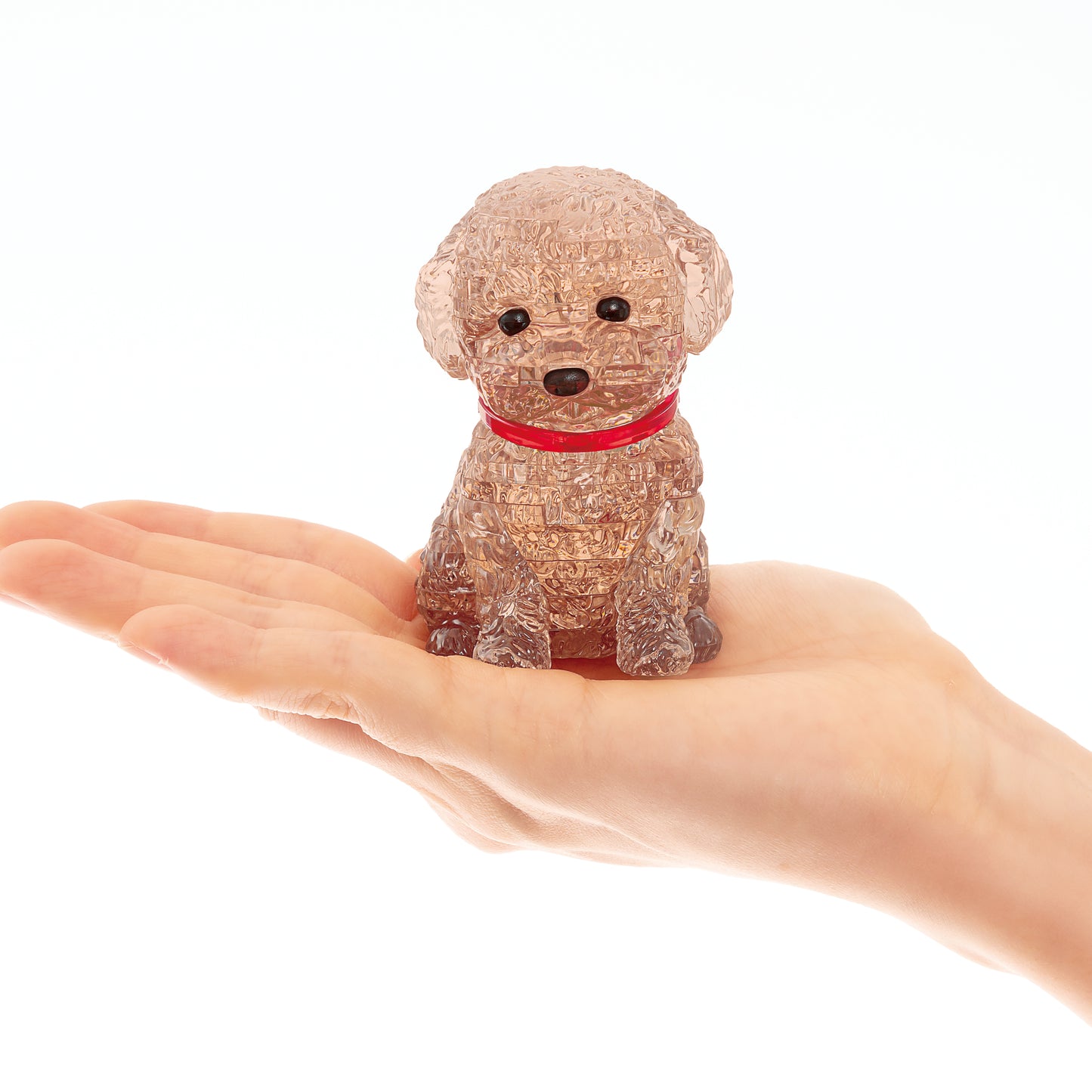 Toy Poodle (Brown)