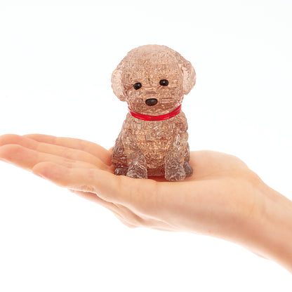 Toy Poodle (Brown)