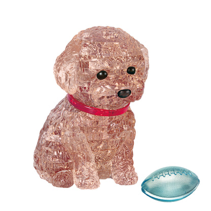 Toy Poodle (Brown)