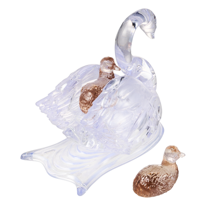 Swan & Babies