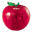 Crystal Puzzle® logo