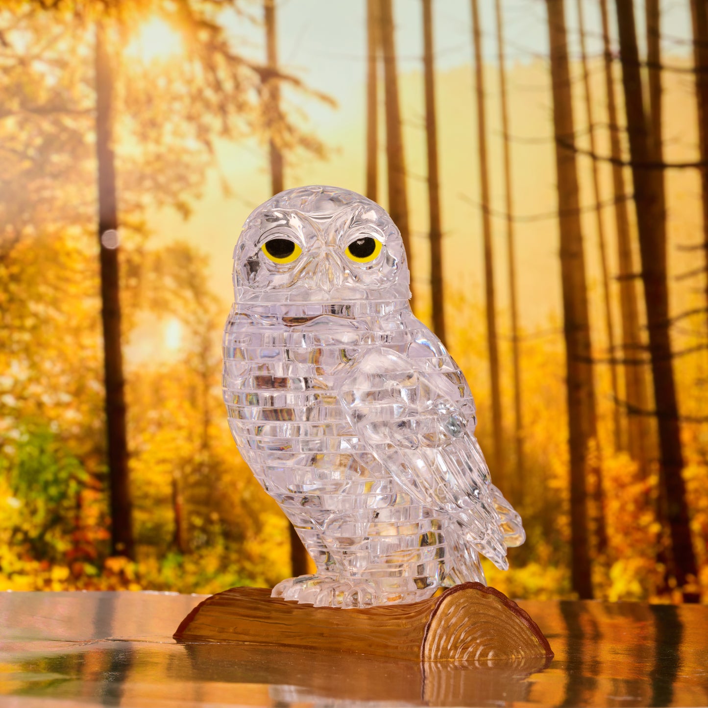 Owl (Clear)