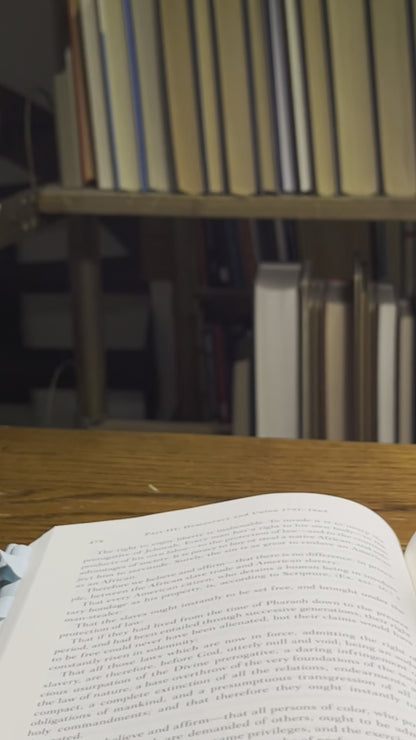 貓頭鷹（透明） 