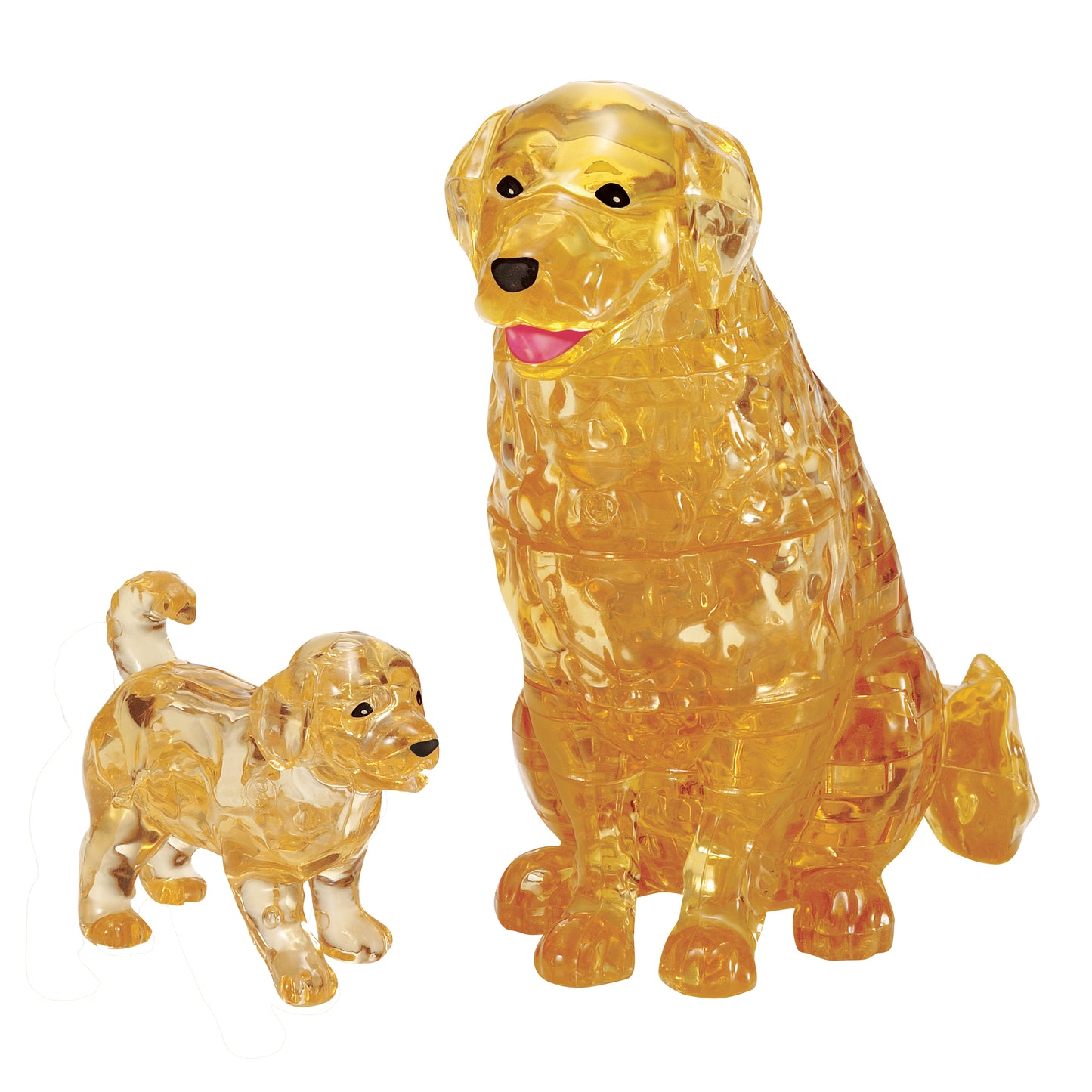 Golden Retriever & Puppy Dog