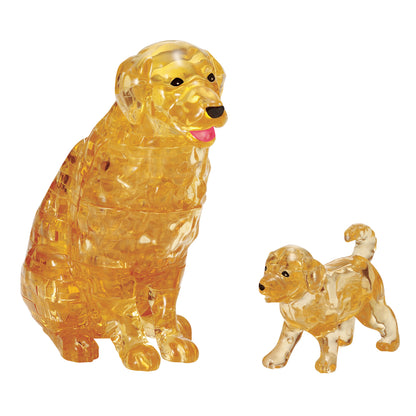 Golden Retriever & Puppy Dog