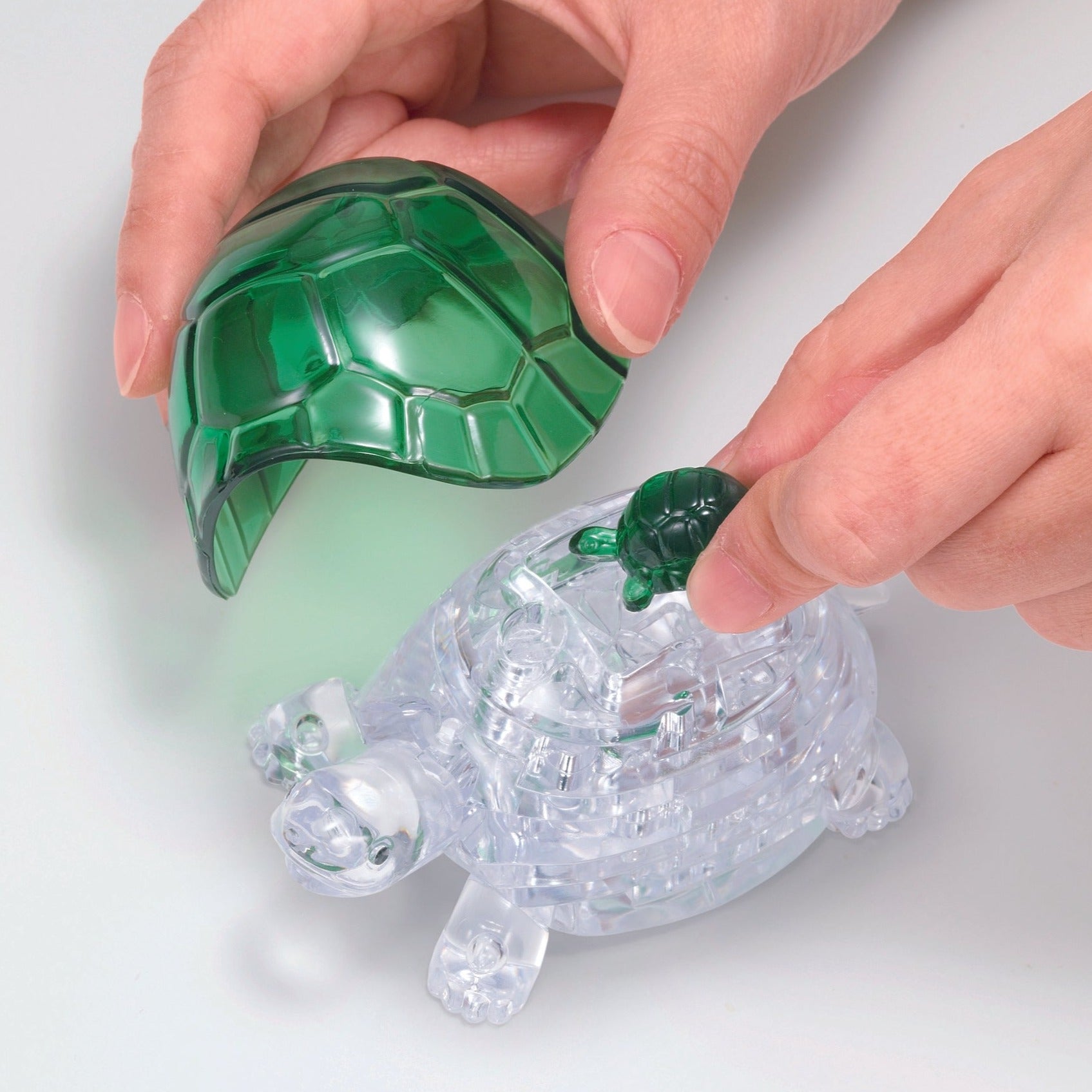 3d best sale turtle puzzle