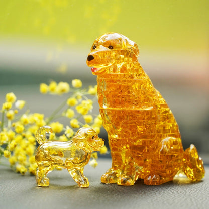 Golden Retriever & Puppy Dog